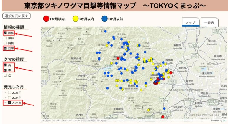 TOKYOくまっぷ